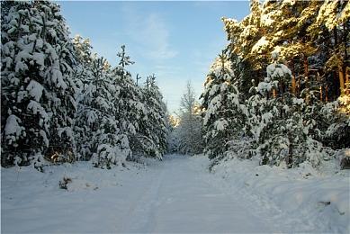 Visa和万事达遭大量玩家抵制 股价出现大幅度下滑、万事达否认审查游戏
